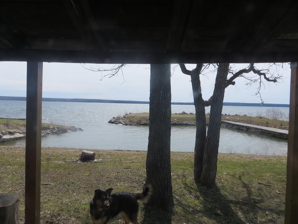 فندق Gore Bayفي  Lake Wolsey Cabins المظهر الخارجي الصورة